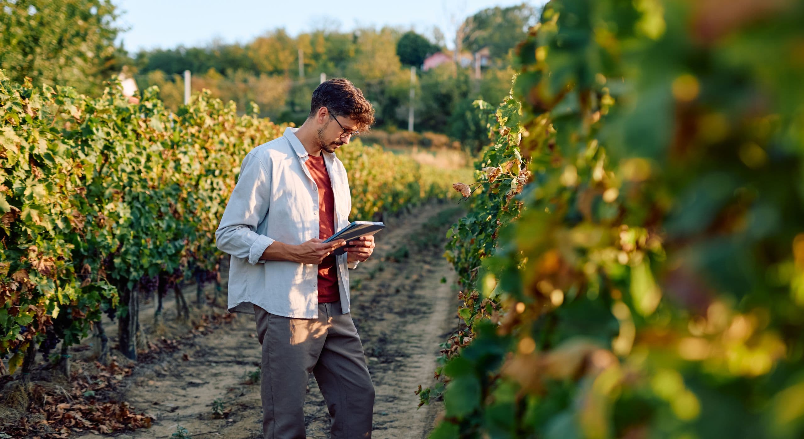 Testeur / testeuse sensoriel(le) — Tu évalues les goûts, odeurs et textures pour améliorer les produits. Tu organises des essais, analyses les résultats et aides les équipes qualité et R&D à prendre des décisions.